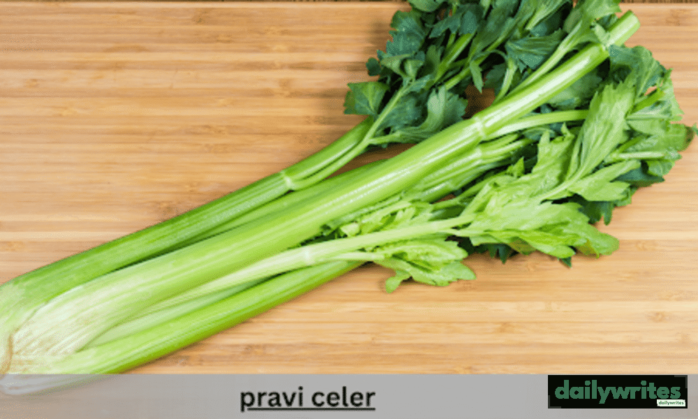 Pravi Celery