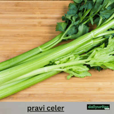 Pravi Celery