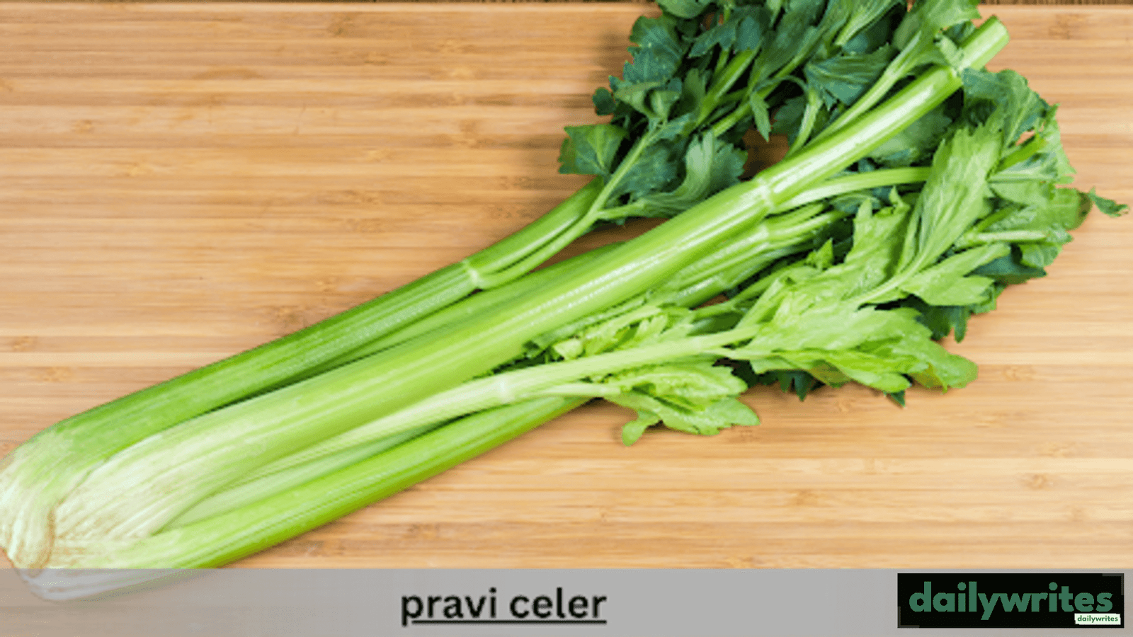 Pravi Celery