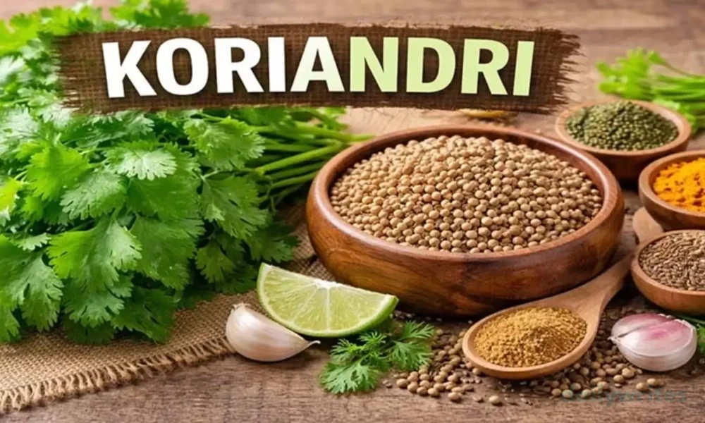 Koriandri