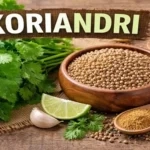 Koriandri