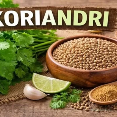 Koriandri